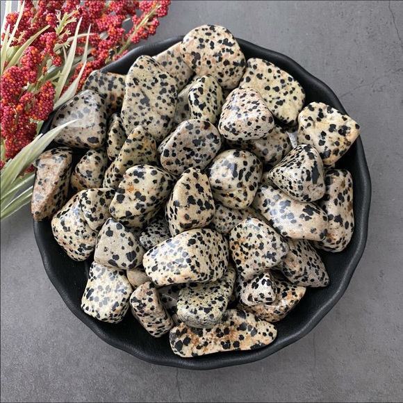 (2) Tumbled Dalmatian Jasper Stones - Picture 1 of 4